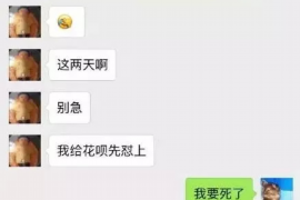 /img/169.png/img/169.png被讨债人的称呼：揭秘债务追收领域的术语/img/169.png