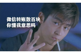 聂拉木要账公司排名前十名：揭秘高效追收服务