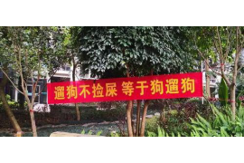 催收公司工作小结 催收公司工作小结