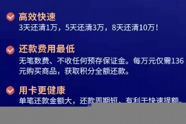 催收短信总是骚扰：揭秘如何应对不当催收行为
